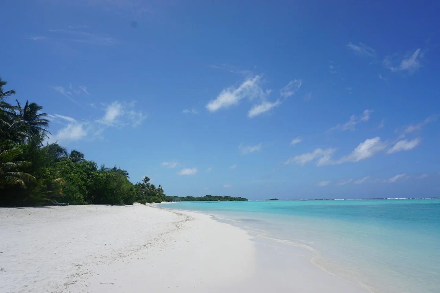 Palm-lined beach on Mauritius Island